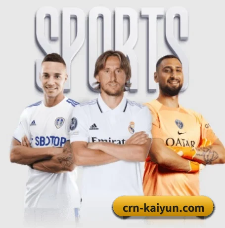 我们在做什么 | kaiyun sports